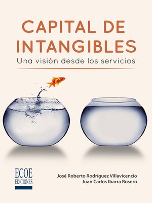 cover image of Capital de intangibles